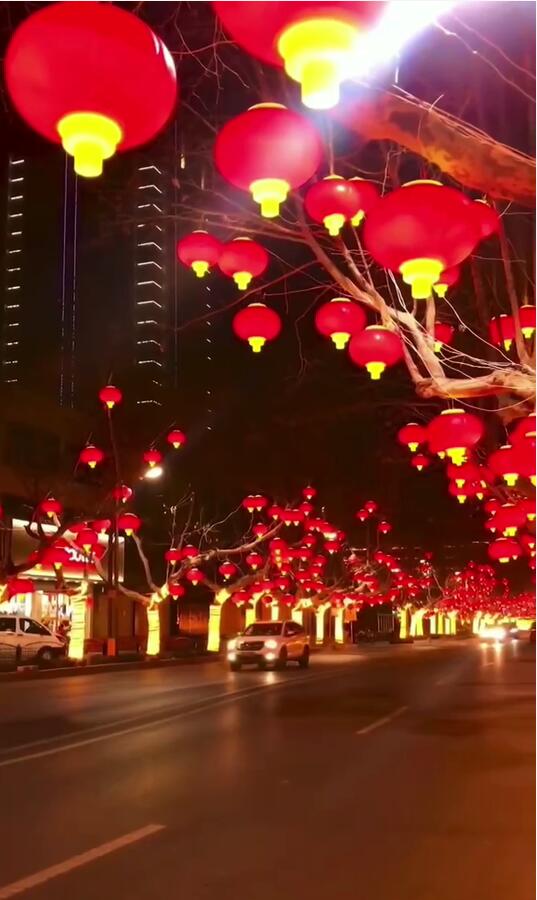 星湖世家春节亮化