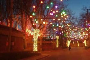 振兴楼路段亮化